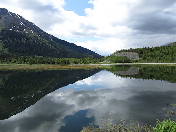 istock Kenai Fjords National Park 486836381