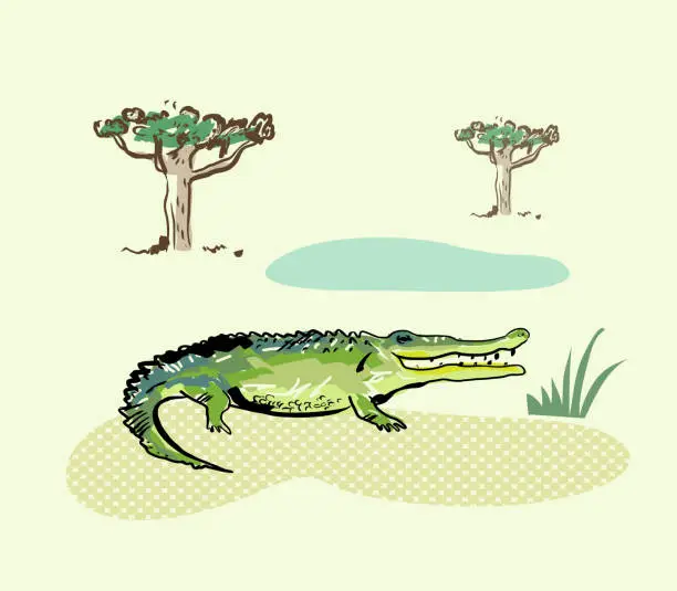 Vector illustration of Crocodile. Animals of Africa. Doodles