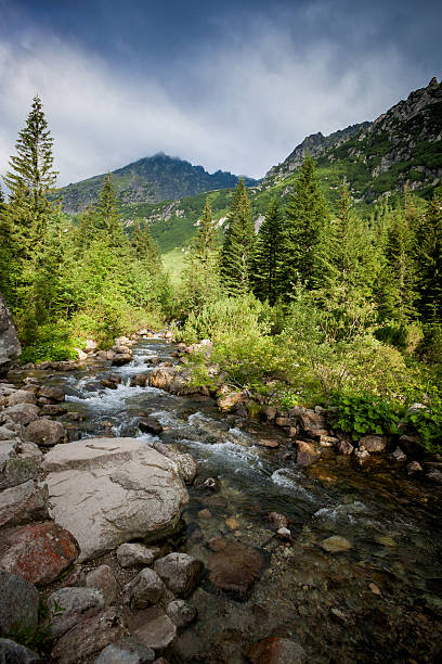 istock Beautiful Tatry mountains landscape Five Lakes Valley 486837777