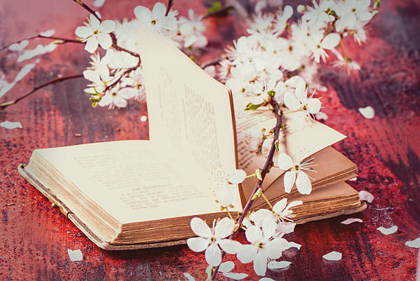 istock Vintage bible with blossom branch 486838259