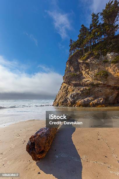 Oregon Beach Treibholz Stockfoto und mehr Bilder von Baum - Baum, Bewegung, Bewegungsunschärfe
