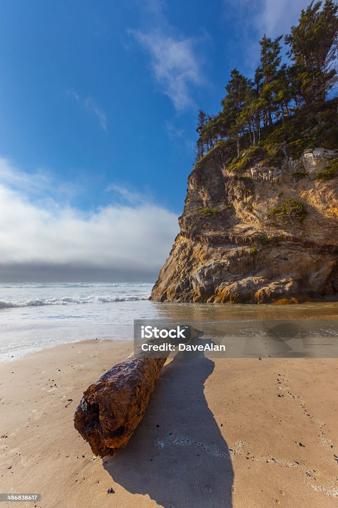 Praia de Oregon madeira. - Royalty-free Abeto Foto de stock