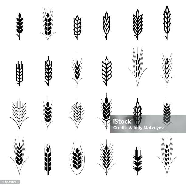 Wheat Ear Symbols For Logo Design Stock Illustration - Download Image Now - Wheat, Illustration, Icon Symbol