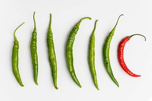 Red and Green chilli peppers ob white background stock photo