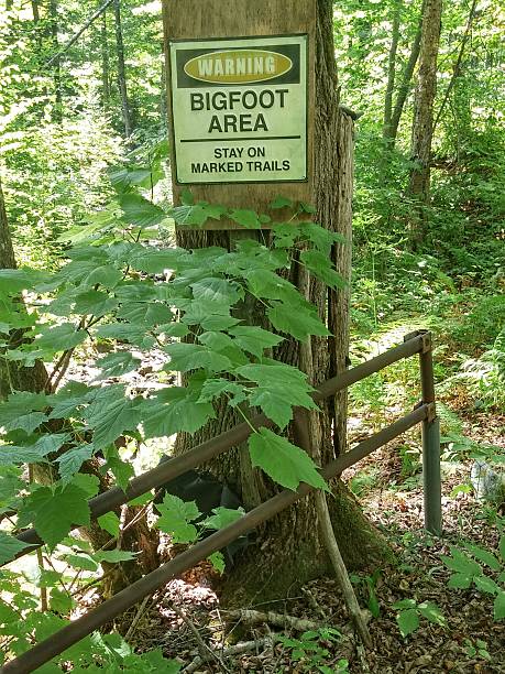 istock Warning Bigfoot Sasquatch Area Stay on Marked Trails Sign 486841902