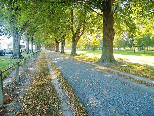 istock Park in Crhistchurch 486842174