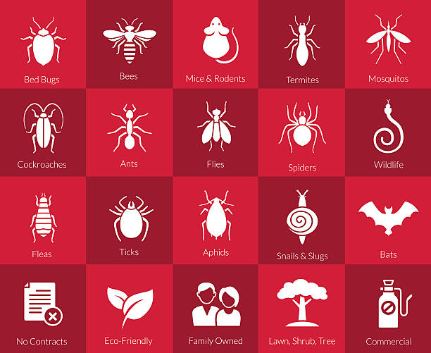 stockillustraties, clipart, cartoons en iconen met icon set for pest control companies - plaagdier