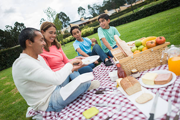 istock Family having a pic nic at home 486843770