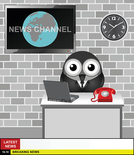 ilustrações, clipart, desenhos animados e ícones de world canal de notícias - apresentador do noticiário