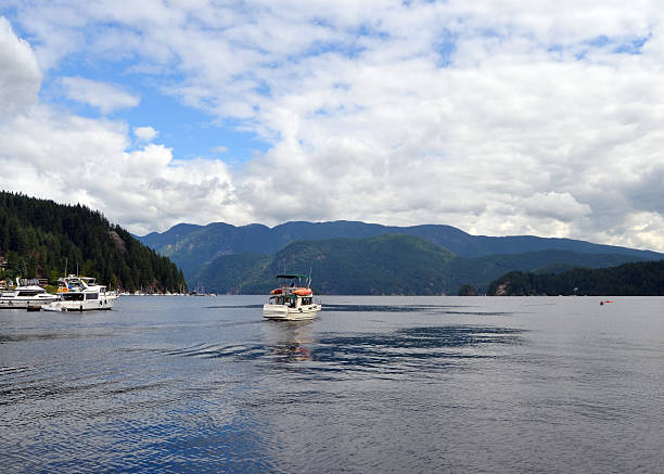 istock Waters of Deep Cove 486843872