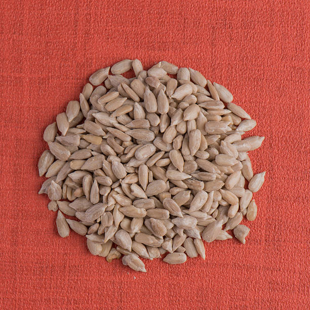 Circle of shelled sunflower seeds Top view of circle of shelled sunflower seeds against red vinyl background. rapeseed shell stock pictures, royalty-free photos & images