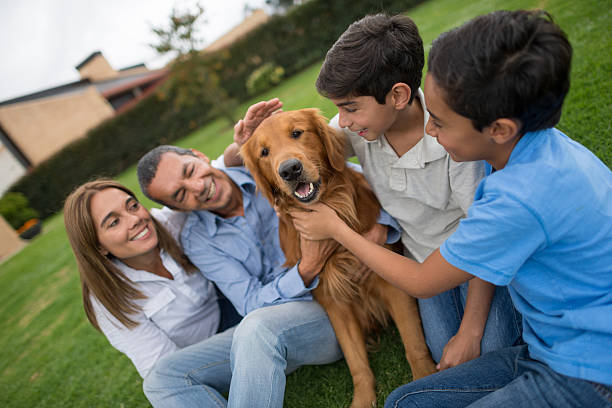 istock Beautiful family dog 486844370