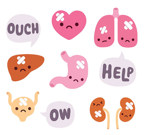 illustrations, cliparts, dessins animés et icônes de adorable organes internes - estomac