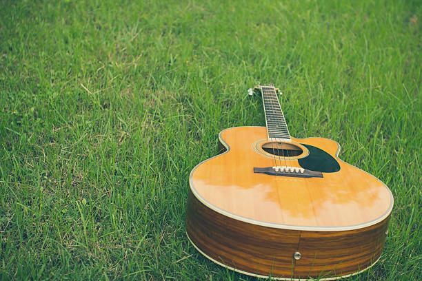 Acoustic guitar on grass with vintage tone and soft focus Acoustic guitar on grass with vintage tone and soft focus karlheinz böhm stock pictures, royalty-free photos & images