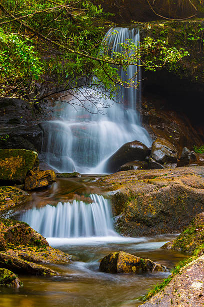 istock Waterfall in Huaping Nature reserve, Guilin,China 486848840