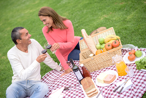 Couple on a romantic date having a picnic and drinking red wine while looking very happy