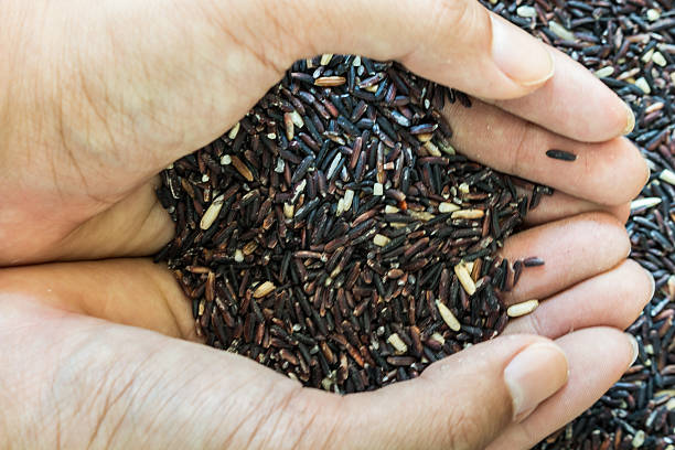 istock Natural Organic  Rice with hand 486851868