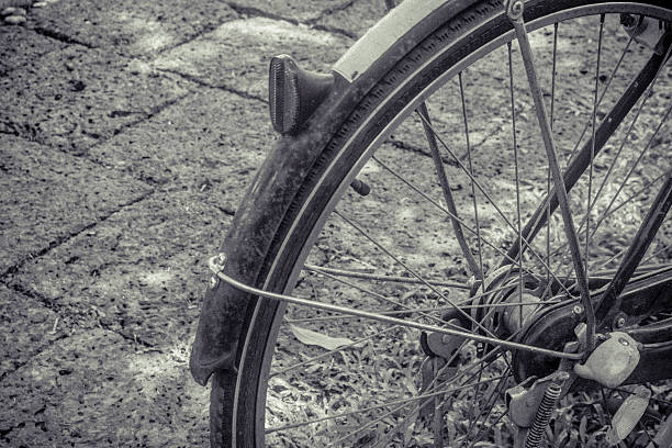 istock bicycle  in the garden on black and white 486852108
