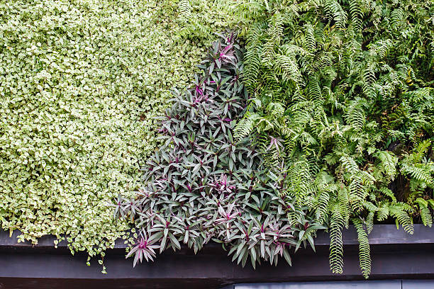 istock interior decoration with tropical botanic plant wall 486853890