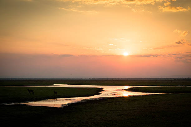 istock Sunset over Gorongosa National Park 486854434