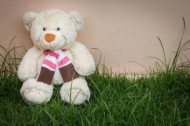 istock teddy bear on the grass and wall background 486854896