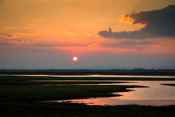 istock Sunset over Gorongosa National Park 486855236