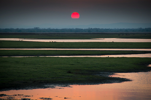 Sunset over the National Park Gorongosa in the center of Mozambique
