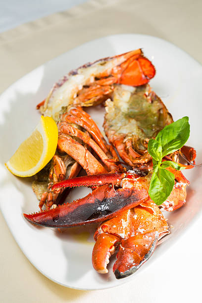istock organic lobster on dish with lemon slices 486859567
