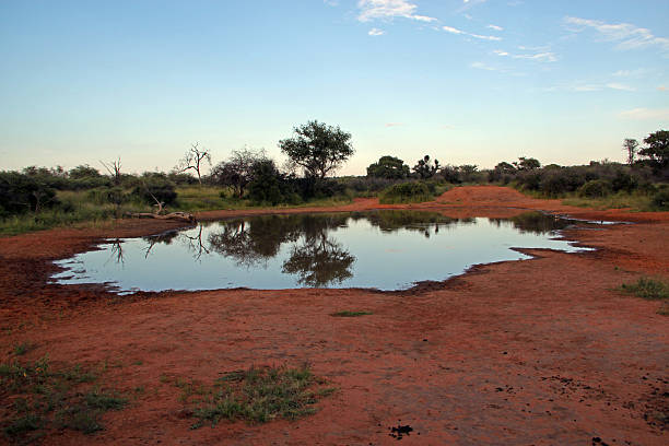 istock Namibia: Watering Hole at the Waterberg Plateau 486859661
