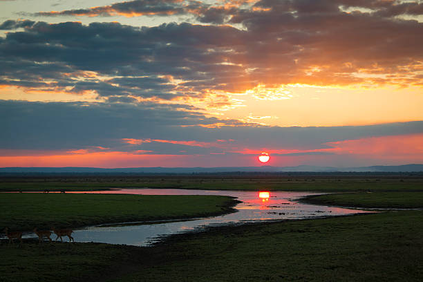 istock Sunset over Gorongosa National Park 486860092