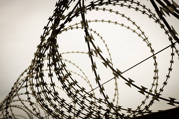istock Barbed wire fence. shot at evening 486860938