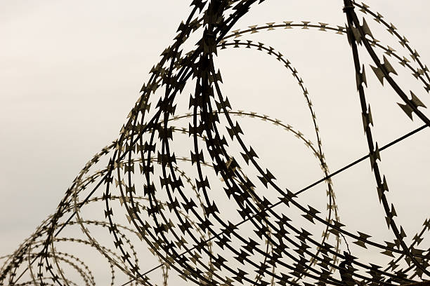 istock Barbed wire fence. shot at evening 486861002
