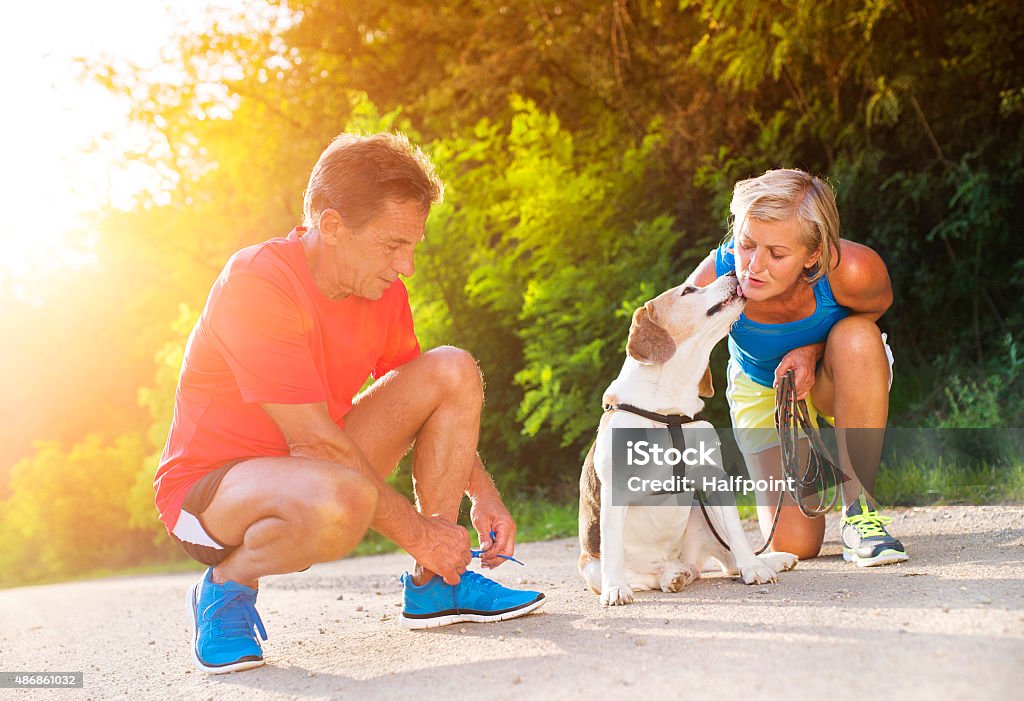 Senior couple running Active seniors getting ready for a run with their dog outside in green nature 2015 Stock Photo