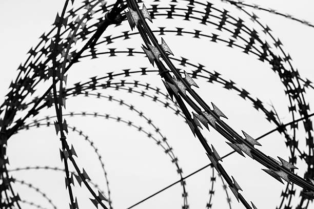 istock Barbed wire fence. Black and White filter 486861048