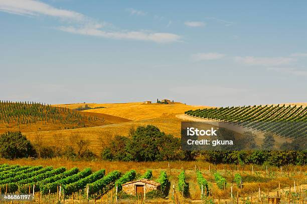 Toscana Foto de stock y más banco de imágenes de Agricultura - Agricultura, Aire libre, Ajardinado