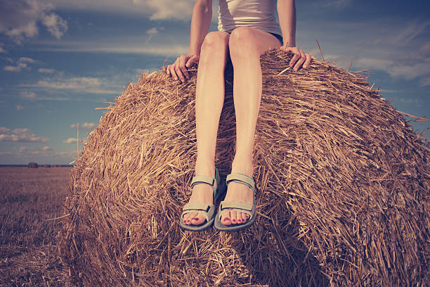 istock Girl sitting on haystack in the field 486861466