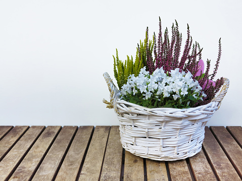 blooming white flowers and heather in white basket with copy space