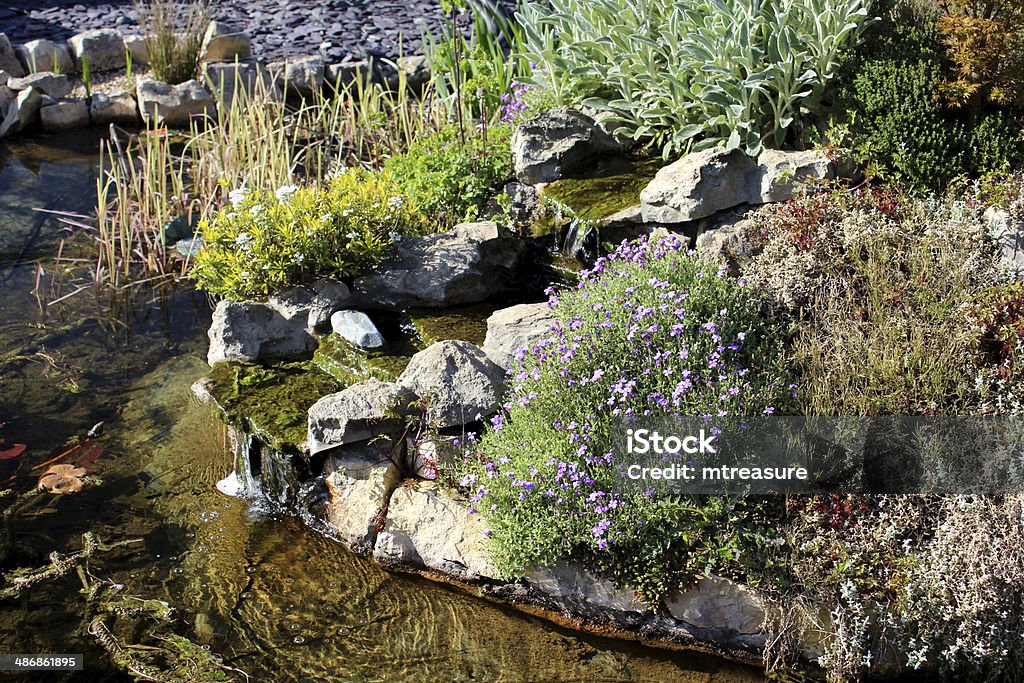 Image d'un jardin avec cascade et bassin Poisson pierre - Photo de Fleur - Flore libre de droits