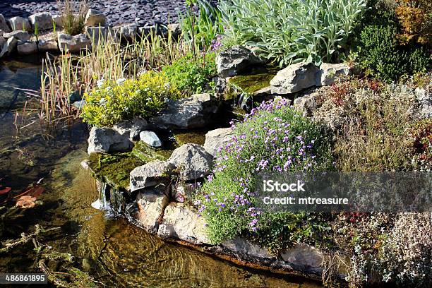 Image Of A Garden Fish Pond With Waterfall And Rockery Stock Photo - Download Image Now