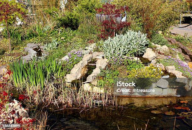 Bild Von Einem Garten Mit Wasserfall Und Fischteich Rockery Stockfoto und mehr Bilder von Betrachtung