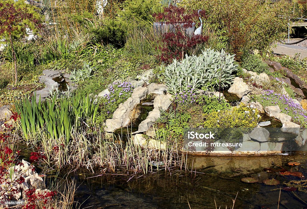 Image d'un jardin avec cascade et bassin Poisson pierre - Photo de Boisson rafraîchissante libre de droits