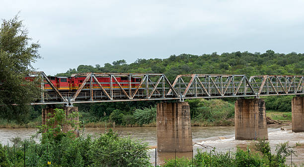 istock train crossing bridge over elephant riverin south africa 486862861