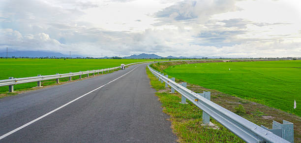 Road pass trough green rice field in Mekong Delta