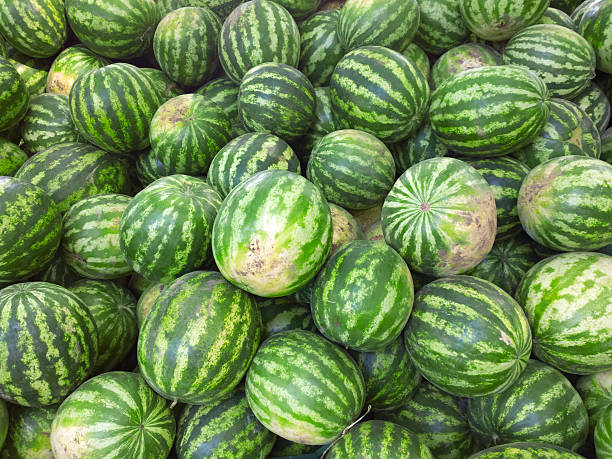 istock Watermelons on the market. 486867674