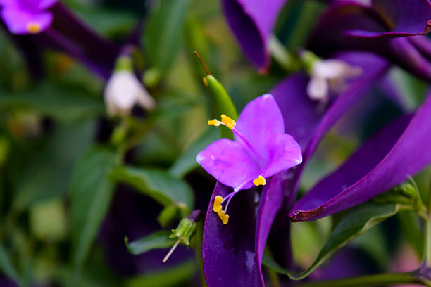 istock The beauty of nature. 486867884