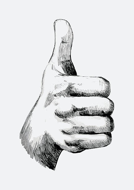 Thumb Up Sketch illustration of thumb up suitable upper stock illustrations