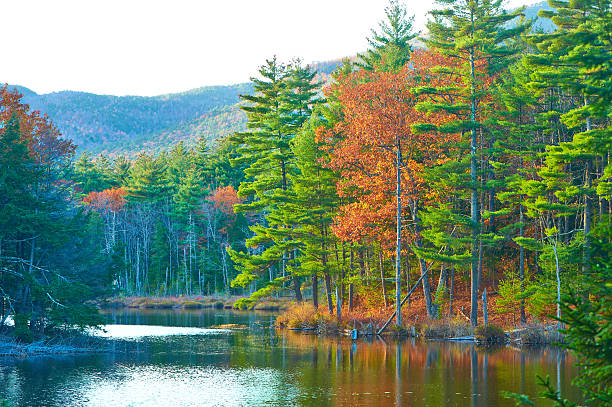 istock Pond in White Mountain National Forest, New Hampshire 486869668