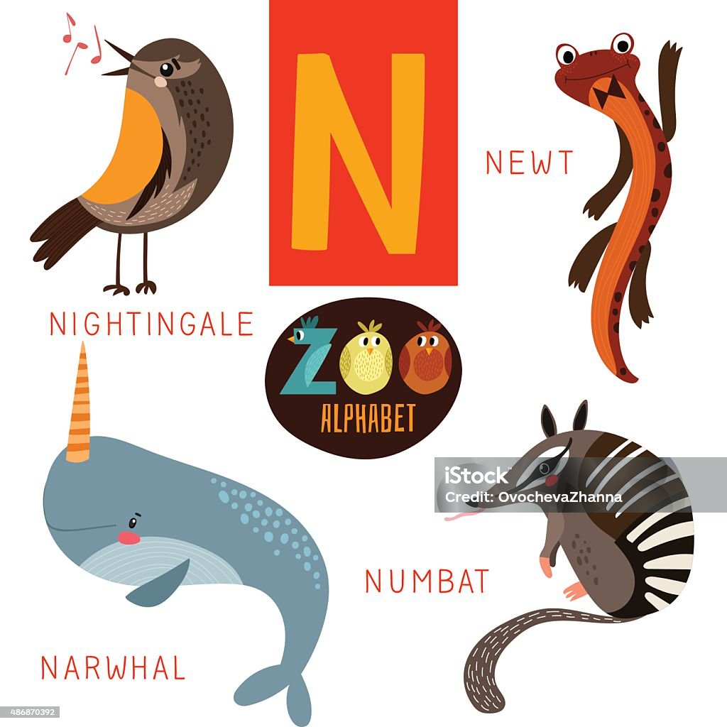 Cute Zoo Alphabet In Vectorn Letter Funny Cartoon Animals Stock  Illustration - Download Image Now - iStock