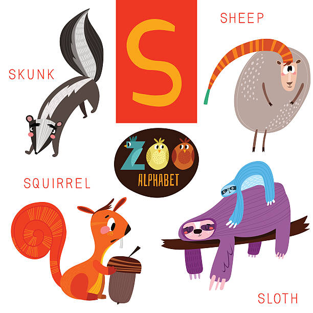 Cute Zoo Alphabet In Vectors Letter Funny Cartoon Animals Stock  Illustration - Download Image Now - iStock