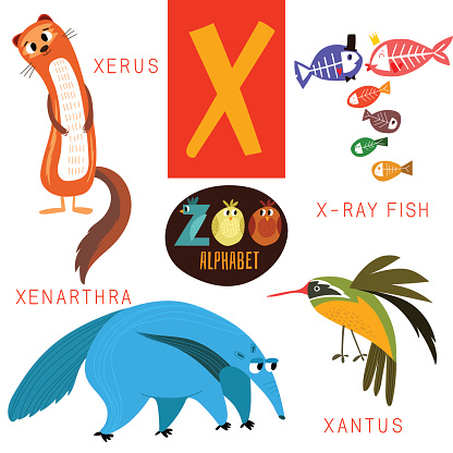 Cute Zoo Alphabet In Vectorx Letter Funny Cartoon Animals Stock Illustration - Download Image Now - iStock Cute Zoo Alphabet In Vectorx Letter Funny Cartoon Animals Stock Illustration - Download Image Now - iStock
